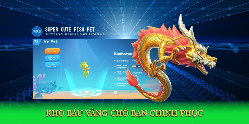 Kho báu vàng chờ bạn chinh phục