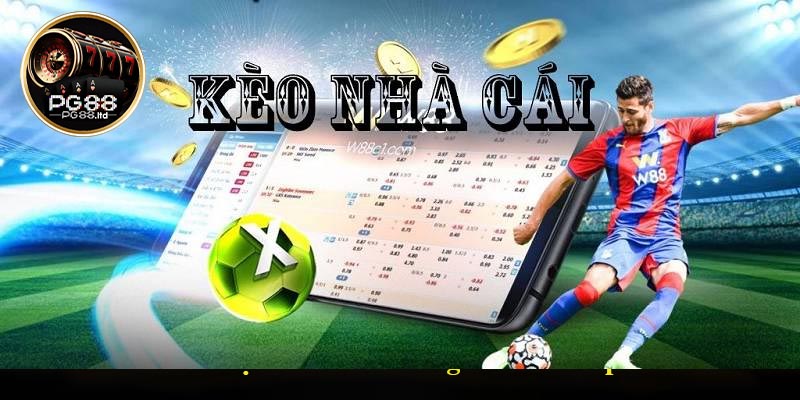 Hướng dẫn cách xem kèo nhà cái PG88