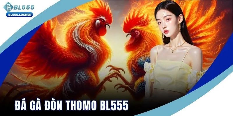 Đá gà đòn Thomo BL555