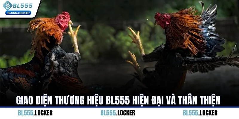 Giao diện thương hiệu BL555 hiện đại và thân thiện